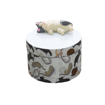 Θωρακισμένη θήκη αποθήκευσης, προστασία από τον άνεμο, απλός σχεδιασμός