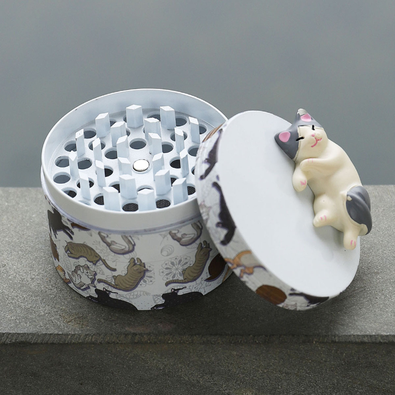 Θωρακισμένη θήκη αποθήκευσης, προστασία από τον άνεμο, απλός σχεδιασμός