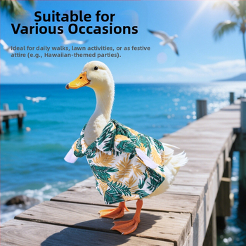 Πουκάμισο σε σκανδιναβικό στυλ, πολυεστέρας, Pet taro, για πάπιες