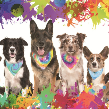 Τριγωνικός φουλάρι για κατοικίδια (προσαρμοσμένο μοτίβο, πολυεστέρα, πλεκτό ύφασμα, εκτύπωση)