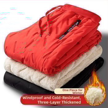 Vīriešu taisnā griezuma bikses, kokvilnas pildījums, mākslīgās ādas audums, pavasaris 2025