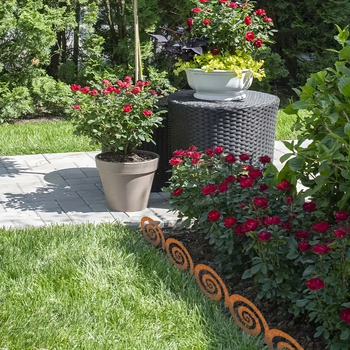 Dārza zemes ievietošanas metāla dekora skulptūra, modelis G264, mūsdienu mākslas stils