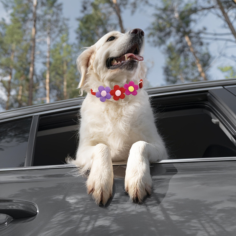 Κολάρα, λουριά και θήκες για κατοικίδια με φλοράλ μοτίβο – Υλικό: Πλαστικό; Κατάλληλο για όλους τους τύπους κατοικίδιων; Διασυνοριακή εξαγωγή: Ναι