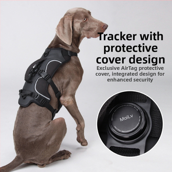 Θωρακικός ιμάντας σκύλου — Oxford ύφασμα, μοντέλο F5011, μη επεκτειόμενος ιμάντας, προέλευση Zhejiang