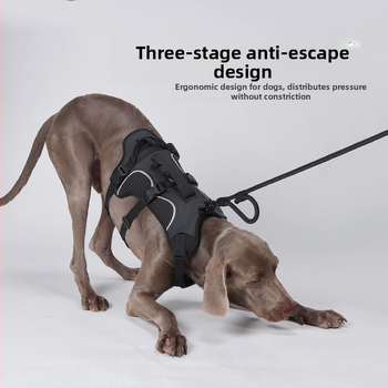 Θωρακικός ιμάντας σκύλου — Oxford ύφασμα, μοντέλο F5011, μη επεκτειόμενος ιμάντας, προέλευση Zhejiang