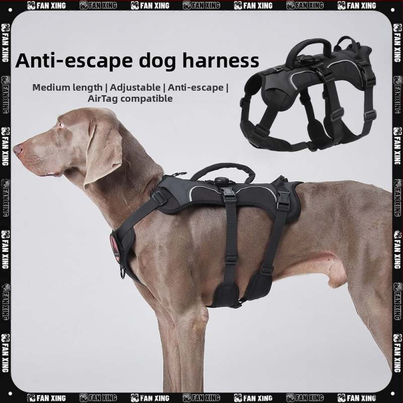 Θωρακικός ιμάντας σκύλου — Oxford ύφασμα, μοντέλο F5011, μη επεκτειόμενος ιμάντας, προέλευση Zhejiang