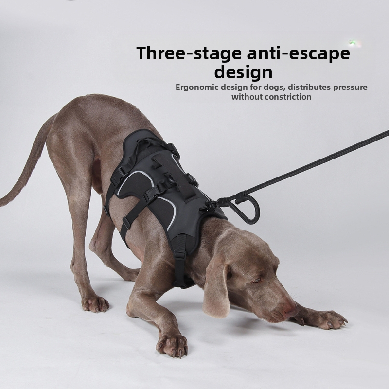 Psí hrudný popruh — Oxford tkanina, kód F5011, kategória: hrudný popruh, pôvod Zhejiang, nie je výsuvný