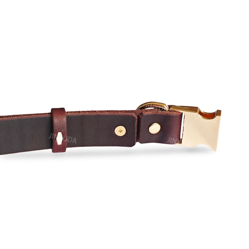 Guler pentru câini din piele de vită | Material: Pie­le de vită; Destinat: Câini; SKU: 185