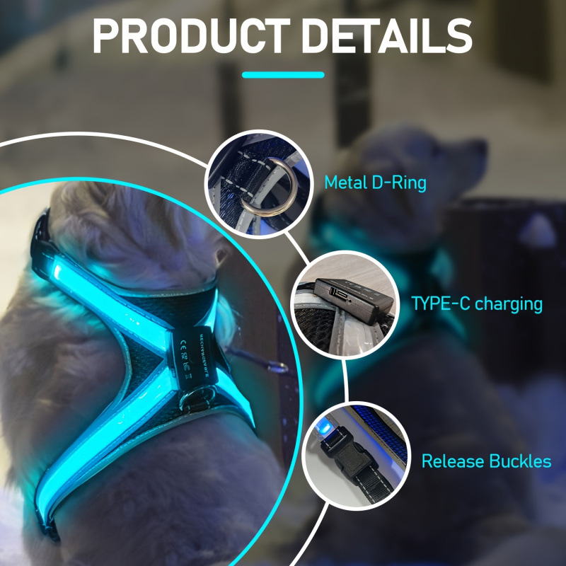 Suņa josta ar uzlādes mirgojošu gaismu — plastmasas materiāls, universāla saderība