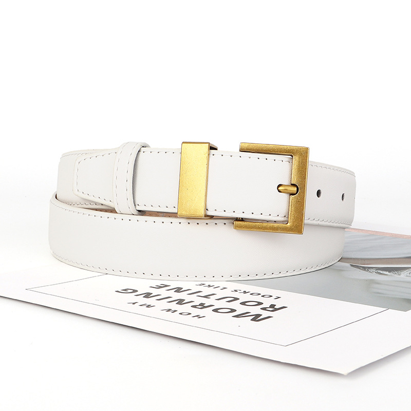 Moterų PU odos diržas su kvadratine sagtimi iš lydinio, plotis 2-4 cm, stilius: biuras, universalus, minimalistinis