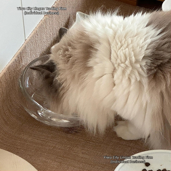 Κούπα ταΐσμού γάτας — γυάλινη, μη διαρρέουσα, με κεκλιμένο άνοιγμα, μοντέλο #2235