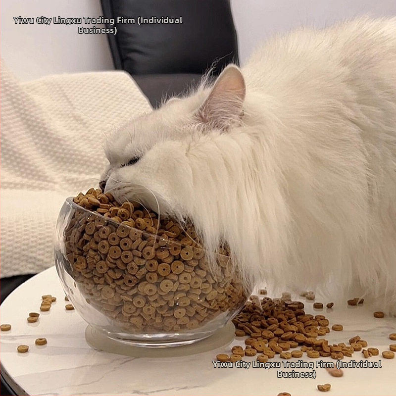 Kačių maisto dubuo — stiklinis, neleidžia lašėti, įlenktas atidarymas, modelis #2235