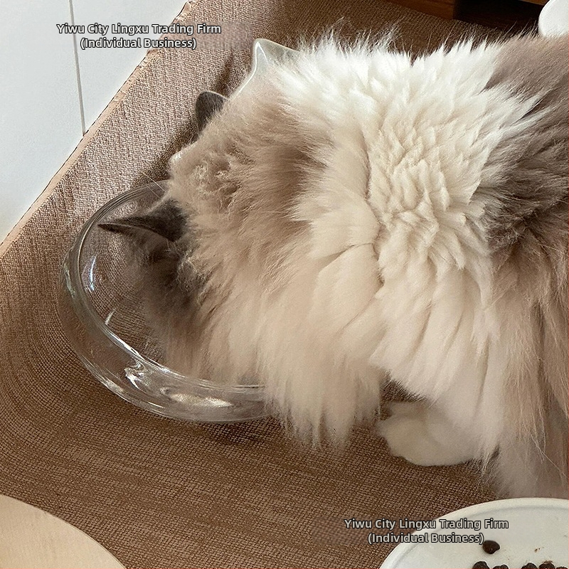 Miska na kŕmenie mačky — sklenená, proti rozliatiu, šikmý otvor, model #2235