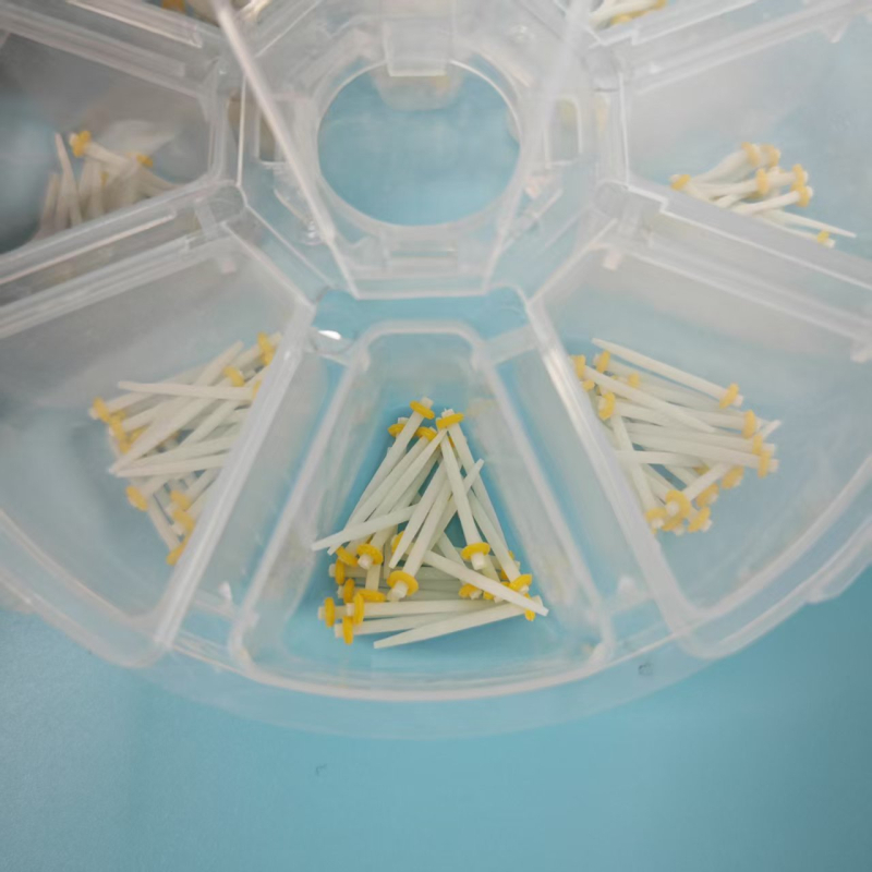 Дентален влакнест пост кит за кореново лечение - Root Canal Restorative Glass (Марка: Denta; За възрастни; Код: Dt-fp-01r; Категория: Други химикали за устна хигиена)