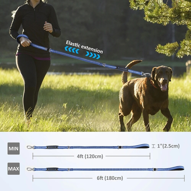 Nailona suņa pavadiņa - atstarojoša, gaisma, spl004, izcelsme Guangdong