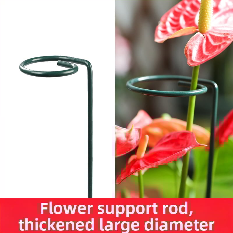 Μεταλλικό στηρίγμα λουλουδιών με μονή ράβδος για εξωτερικό κήπο, κατάλληλο για αναρριχητικά φυτά