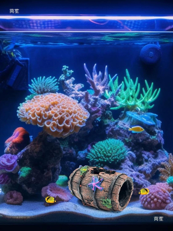 Διακόσμηση ενυδρείου: καταφύγιο-σπήλαιο, κενή δομή για ψάρια και γαρίδες