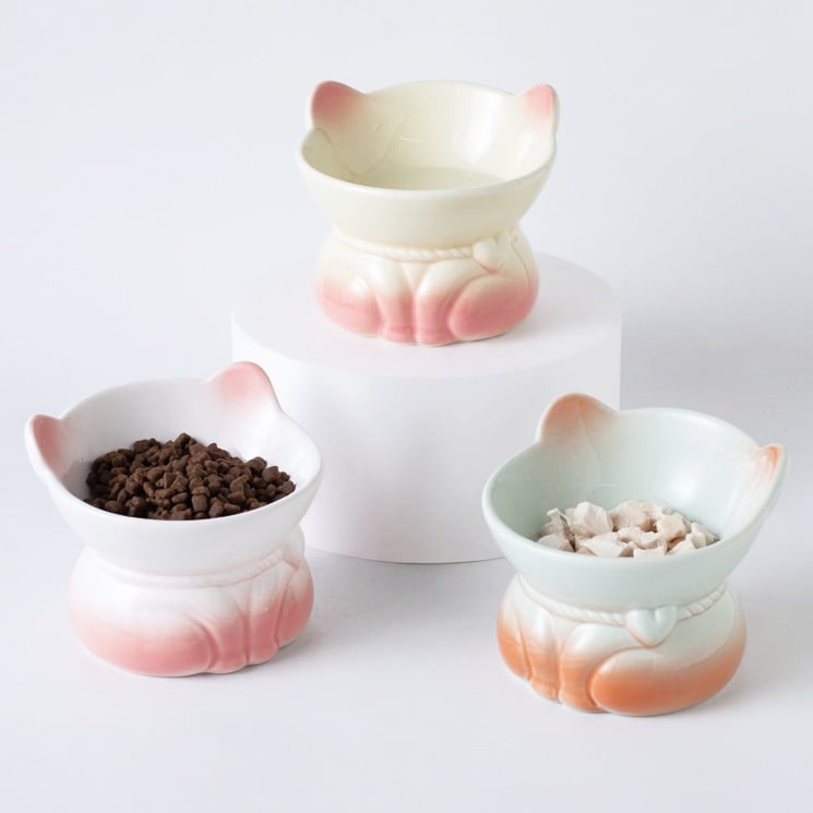 Κεραμικό μπολ γάτας με διαβάθμιση χρωμάτων για σίτιση και πόση