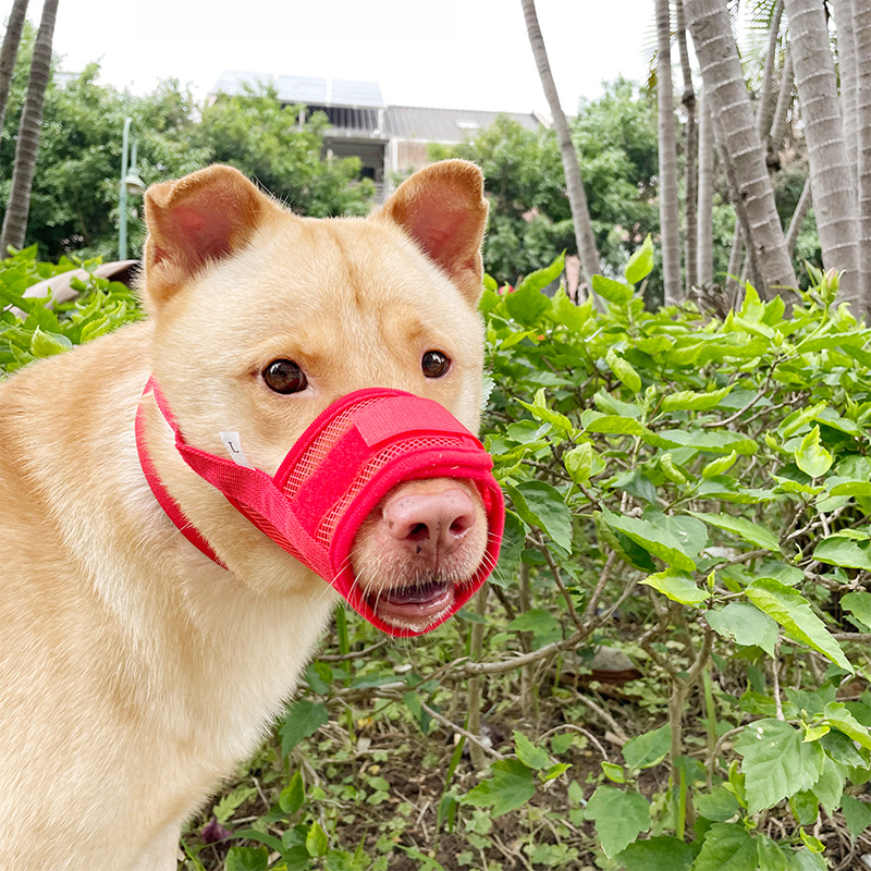 Мюзел за кучета — антихапене, антилаене, предотвратява случайно поглъщане; за всички породи; Категория: Друго; Материал: Друго; Импорт: Не; Марка: Друго; IP авторизация: Няма