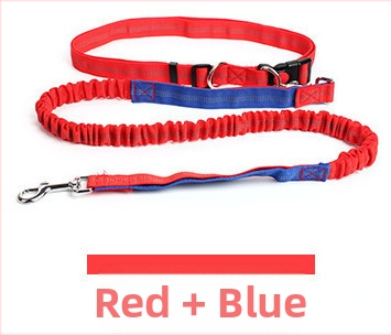 Λουρί σκύλου – Υλικό: Νάιλον; Ελαστικότητα: Ελαστικό; Επεκτασιμότητα: Ναι; Μάρκα: Zhejiang Mingai Pet Supplies; Κατηγορία: Λουρί για σκύλους