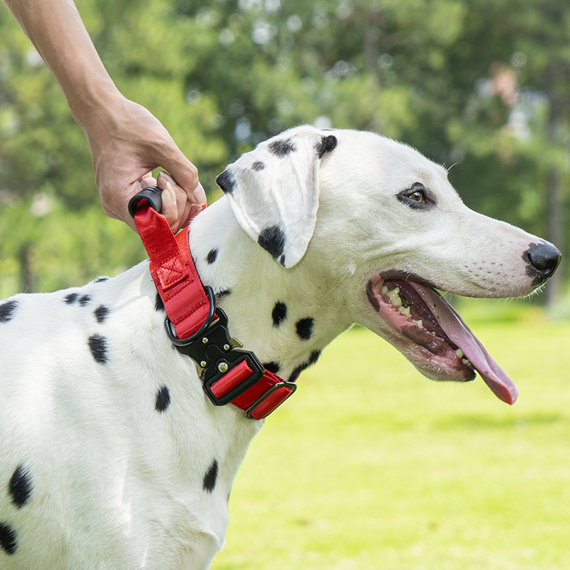 Nailona suņu kaklasaite, izturīga pret trieciieniem un sprādzieniem, taktiskais stils, vienots raksts, eksporta ekskluzīvs piedāvājums