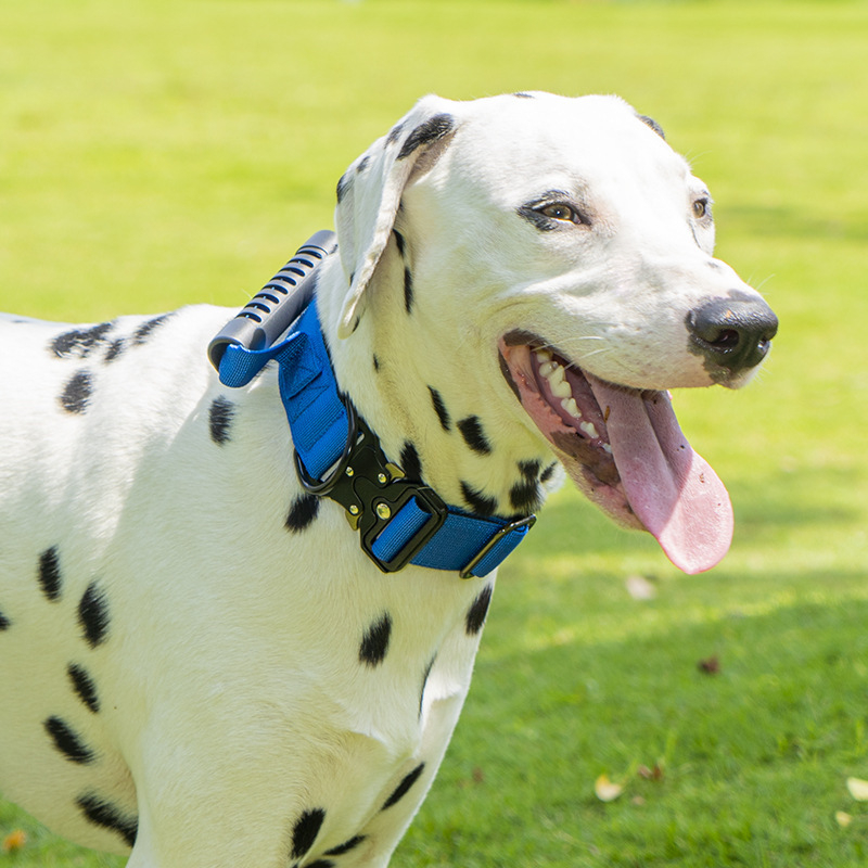 Nailona suņu kaklasaite, izturīga pret trieciieniem un sprādzieniem, taktiskais stils, vienots raksts, eksporta ekskluzīvs piedāvājums