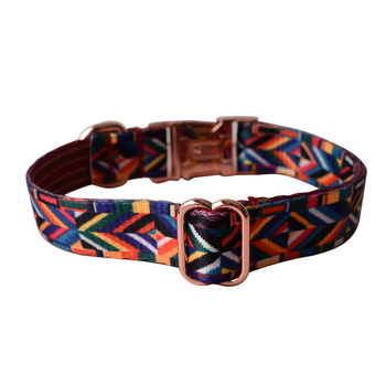 Κολάρο σκύλου από νάιλον, μοτίβο Color Grid, FOUCOTO