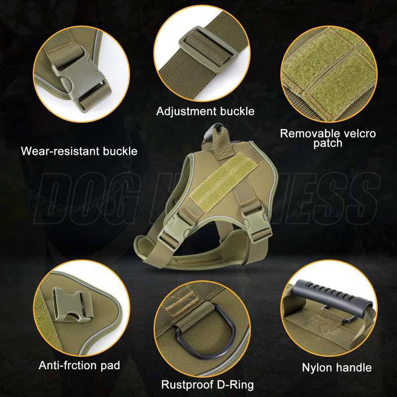 Σετ περιλαίμιου και λουριού για κατοικίδια, αναδιπλούμενο λουρί, πολυεστέρας, μοντέλο 905