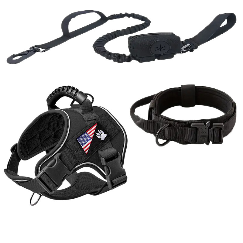 Σετ περιλαίμιου και λουριού για κατοικίδια, αναδιπλούμενο λουρί, πολυεστέρας, μοντέλο 905