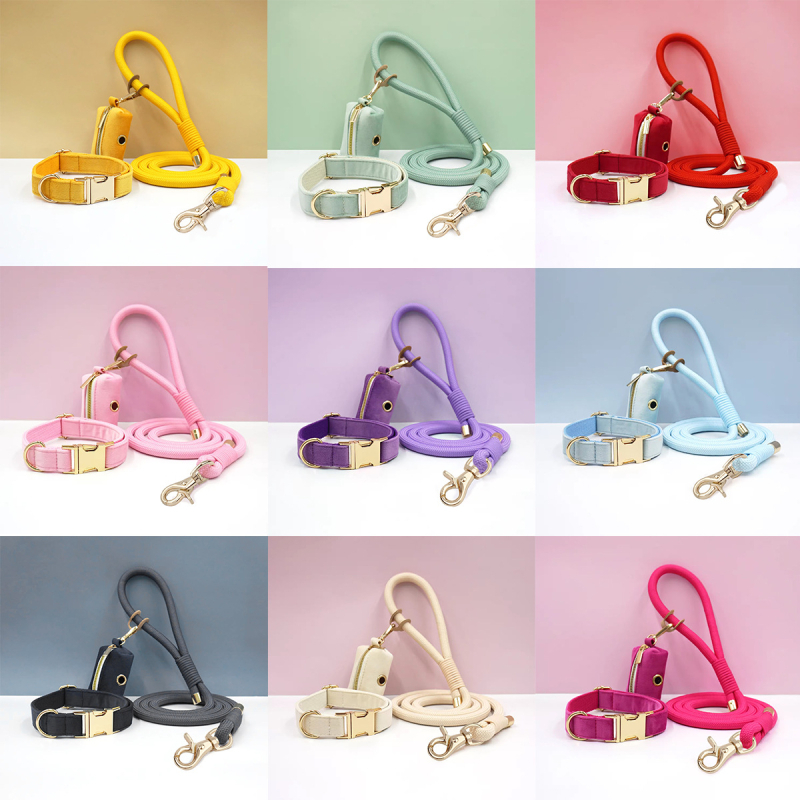 WAOPET Κολάρο σκύλου από βελούδο και σετ λουριών από νάιλον, CC541+LL541, μη ελκτικό