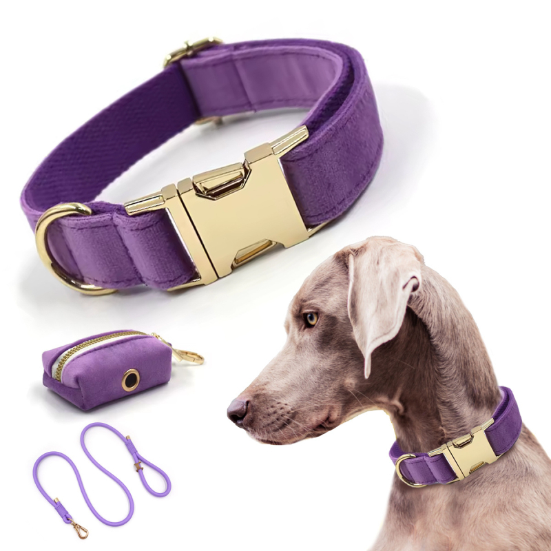 WAOPET Κολάρο σκύλου από βελούδο και σετ λουριών από νάιλον, CC541+LL541, μη ελκτικό