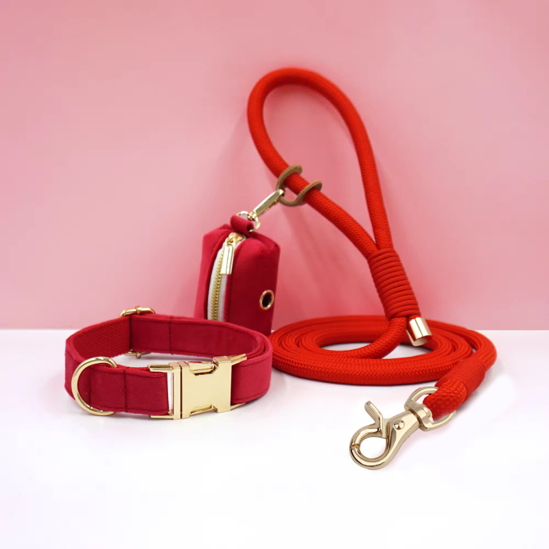 WAOPET Κολάρο σκύλου από βελούδο και σετ λουριών από νάιλον, CC541+LL541, μη ελκτικό