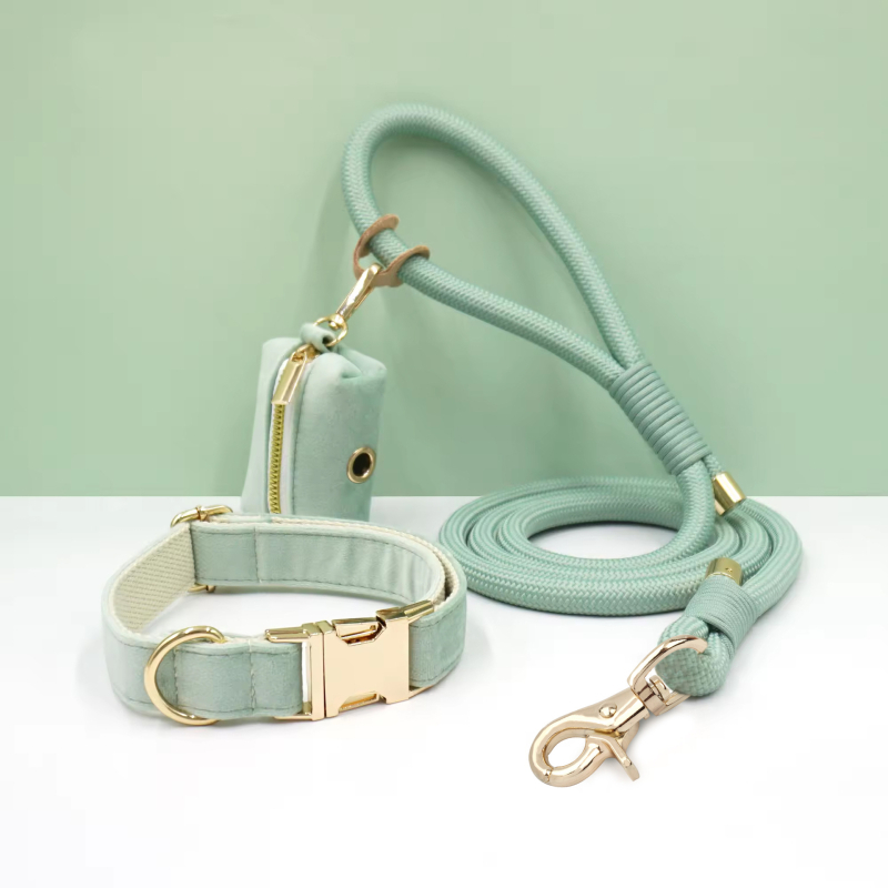 WAOPET Κολάρο σκύλου από βελούδο και σετ λουριών από νάιλον, CC541+LL541, μη ελκτικό