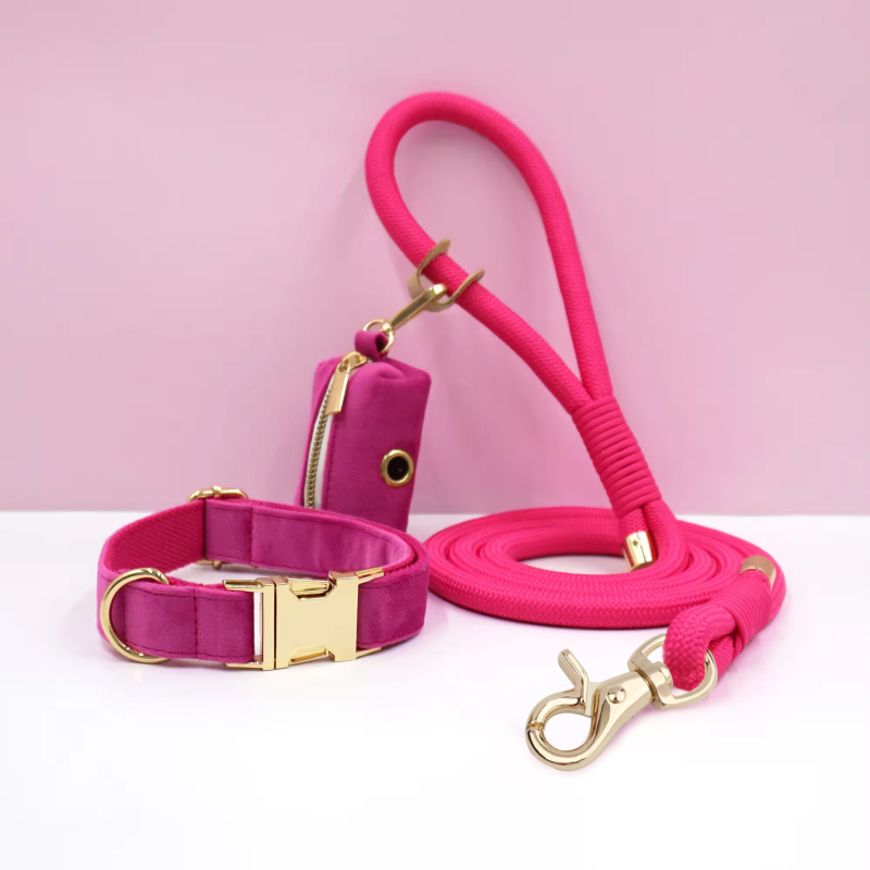 WAOPET Κολάρο σκύλου από βελούδο και σετ λουριών από νάιλον, CC541+LL541, μη ελκτικό