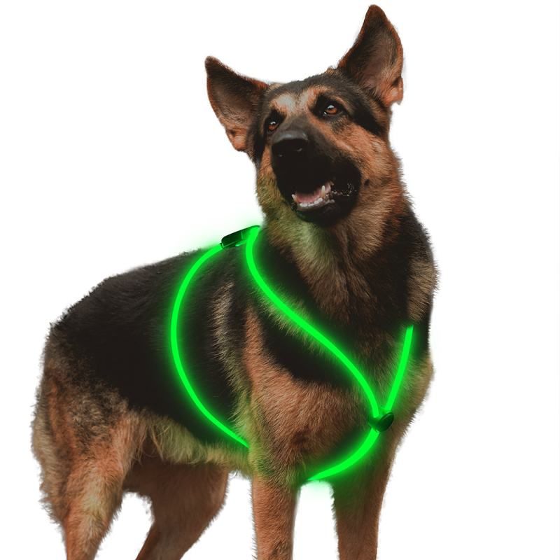 LED vesta za psa s USB punjenjem, TPU materijal, model CD1110, pogodna za DIY rezanje