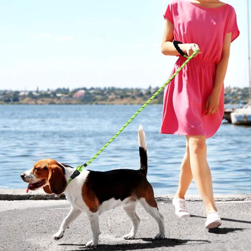 Λουρί σκύλου για τρέξιμο και βόλτες με αντι-σοκ, ενσωματωμένο παχύ P σχοινί, ανακλαστικό για νυχτερινή ασφάλεια, μάρκα It Star, Νάιλον Απομίμηση