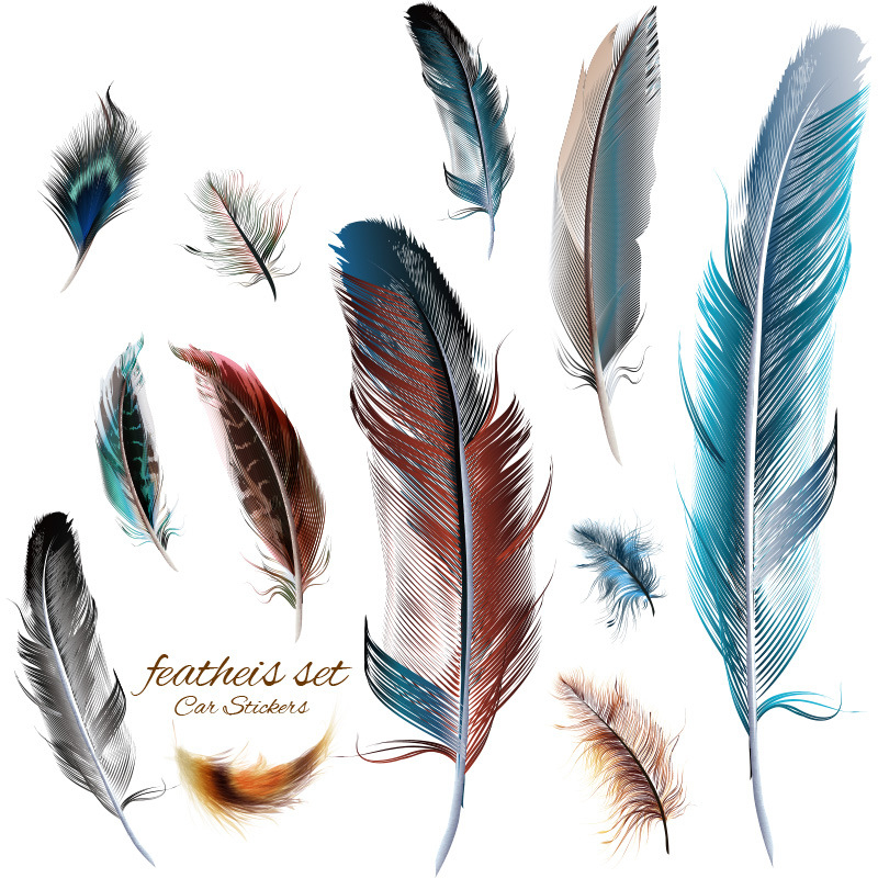 Autó karosszériára szánt matrica – Angyal szárnyai, 3D matrica, Totem minta, mágneses rögzítés