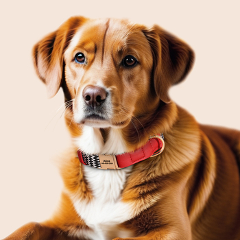 Κολάρο σκύλου με χαραγμένη ετικέτα κατά της απώλειας, Υλικό Mohair, Μάρκα Feiyu, κατάλληλο για όλους τους σκύλους, Κωδικός 759849768829