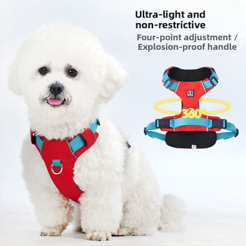 Σετ λουριού και θώρακα για σκύλους - ελαφρύ, διαπνέον, μη ελκτικό - κατάλληλο για μικρά σκυλιά, εξωτερικές βόλτες