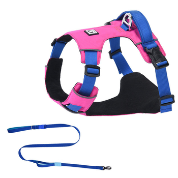 Σετ λουριού και θώρακα για σκύλους - ελαφρύ, διαπνέον, μη ελκτικό - κατάλληλο για μικρά σκυλιά, εξωτερικές βόλτες