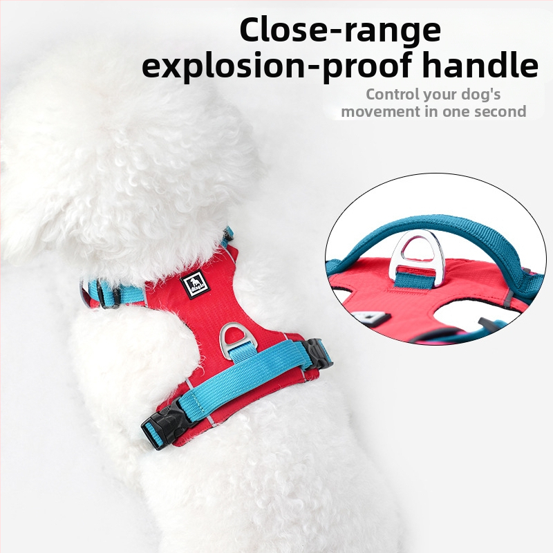 Комплект каишка и нагръдник за кучета - лек, дишащ, неразтегателен, за малки кучета, за разходки навън