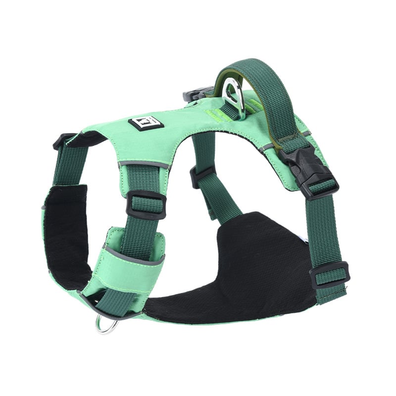 Σετ λουριού και θώρακα για σκύλους - ελαφρύ, διαπνέον, μη ελκτικό - κατάλληλο για μικρά σκυλιά, εξωτερικές βόλτες
