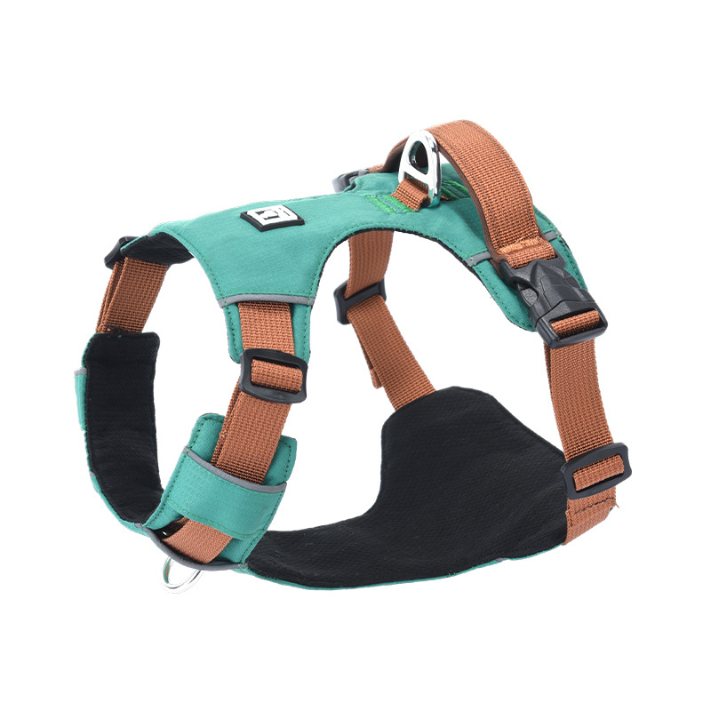 Σετ λουριού και θώρακα για σκύλους - ελαφρύ, διαπνέον, μη ελκτικό - κατάλληλο για μικρά σκυλιά, εξωτερικές βόλτες