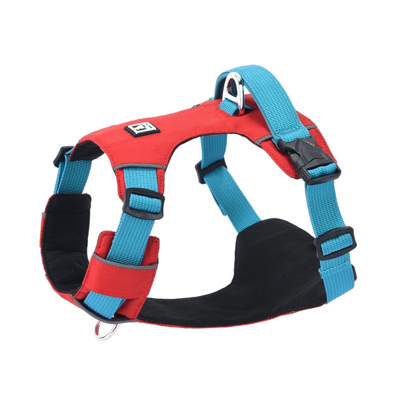 Σετ λουριού και θώρακα για σκύλους - ελαφρύ, διαπνέον, μη ελκτικό - κατάλληλο για μικρά σκυλιά, εξωτερικές βόλτες