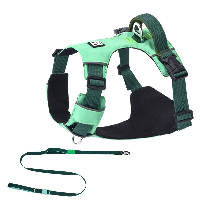 Σετ λουριού και θώρακα για σκύλους - ελαφρύ, διαπνέον, μη ελκτικό - κατάλληλο για μικρά σκυλιά, εξωτερικές βόλτες