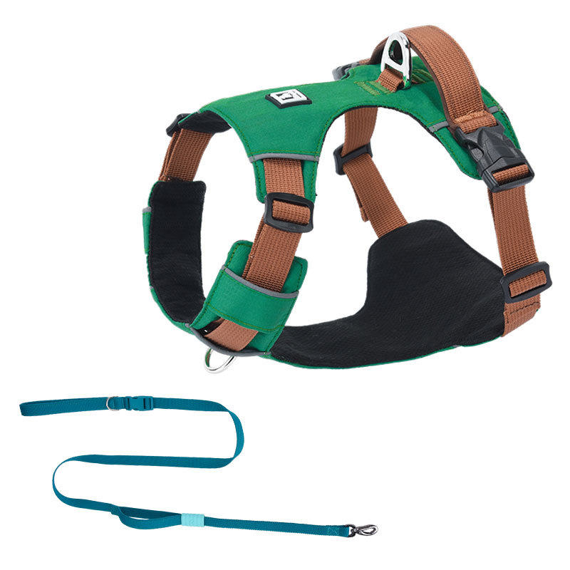 Σετ λουριού και θώρακα για σκύλους - ελαφρύ, διαπνέον, μη ελκτικό - κατάλληλο για μικρά σκυλιά, εξωτερικές βόλτες