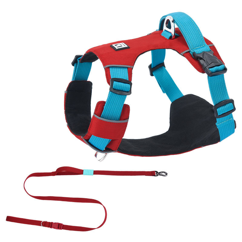 Σετ λουριού και θώρακα για σκύλους - ελαφρύ, διαπνέον, μη ελκτικό - κατάλληλο για μικρά σκυλιά, εξωτερικές βόλτες