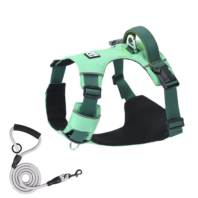 Σετ λουριού και θώρακα για σκύλους - ελαφρύ, διαπνέον, μη ελκτικό - κατάλληλο για μικρά σκυλιά, εξωτερικές βόλτες