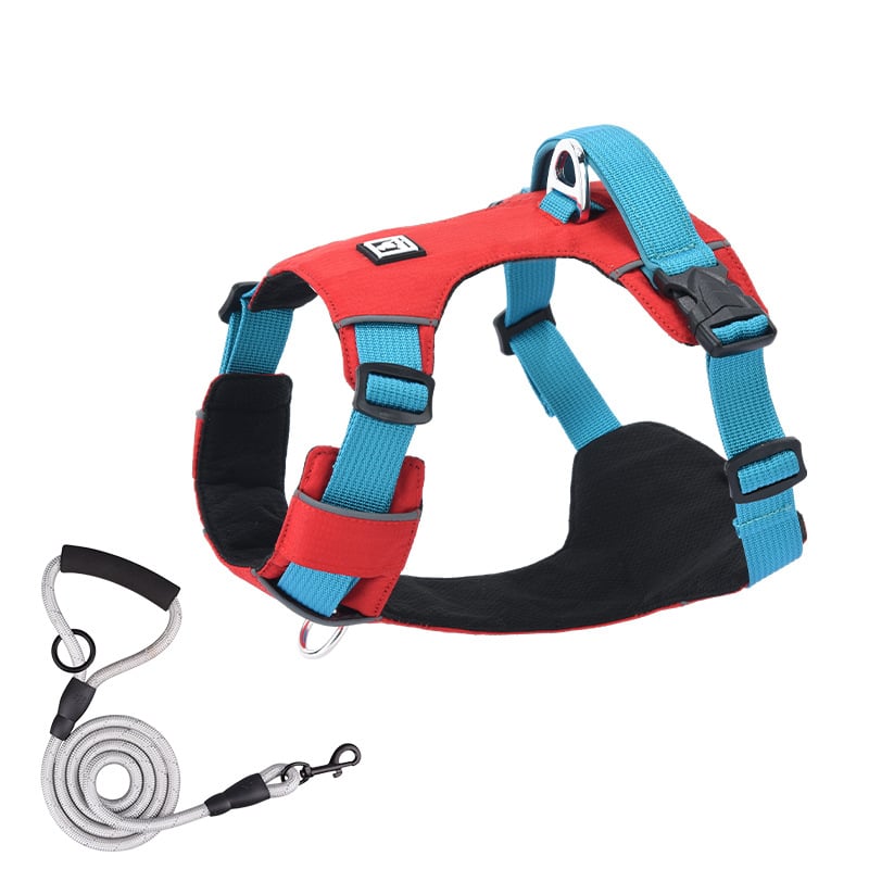 Σετ λουριού και θώρακα για σκύλους - ελαφρύ, διαπνέον, μη ελκτικό - κατάλληλο για μικρά σκυλιά, εξωτερικές βόλτες