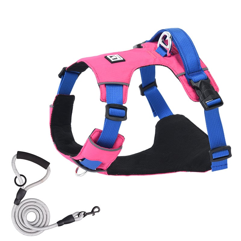 Σετ λουριού και θώρακα για σκύλους - ελαφρύ, διαπνέον, μη ελκτικό - κατάλληλο για μικρά σκυλιά, εξωτερικές βόλτες